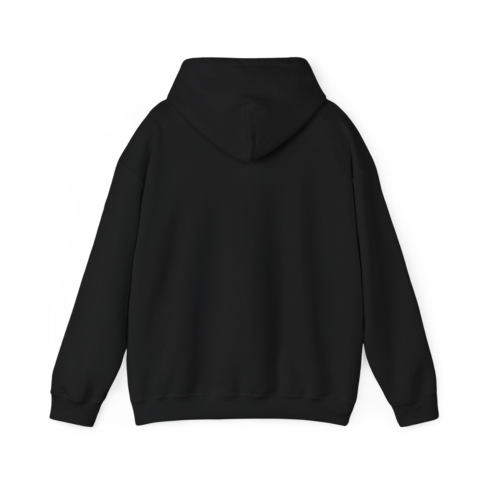 Black hoodie (back view) on a white background