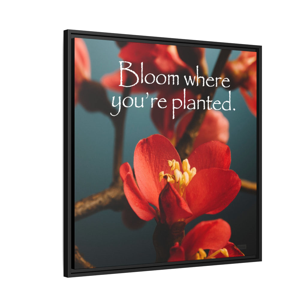 Framed floral artwork with red flowers and motivational quote 'Bloom where you're planted' on a white background.