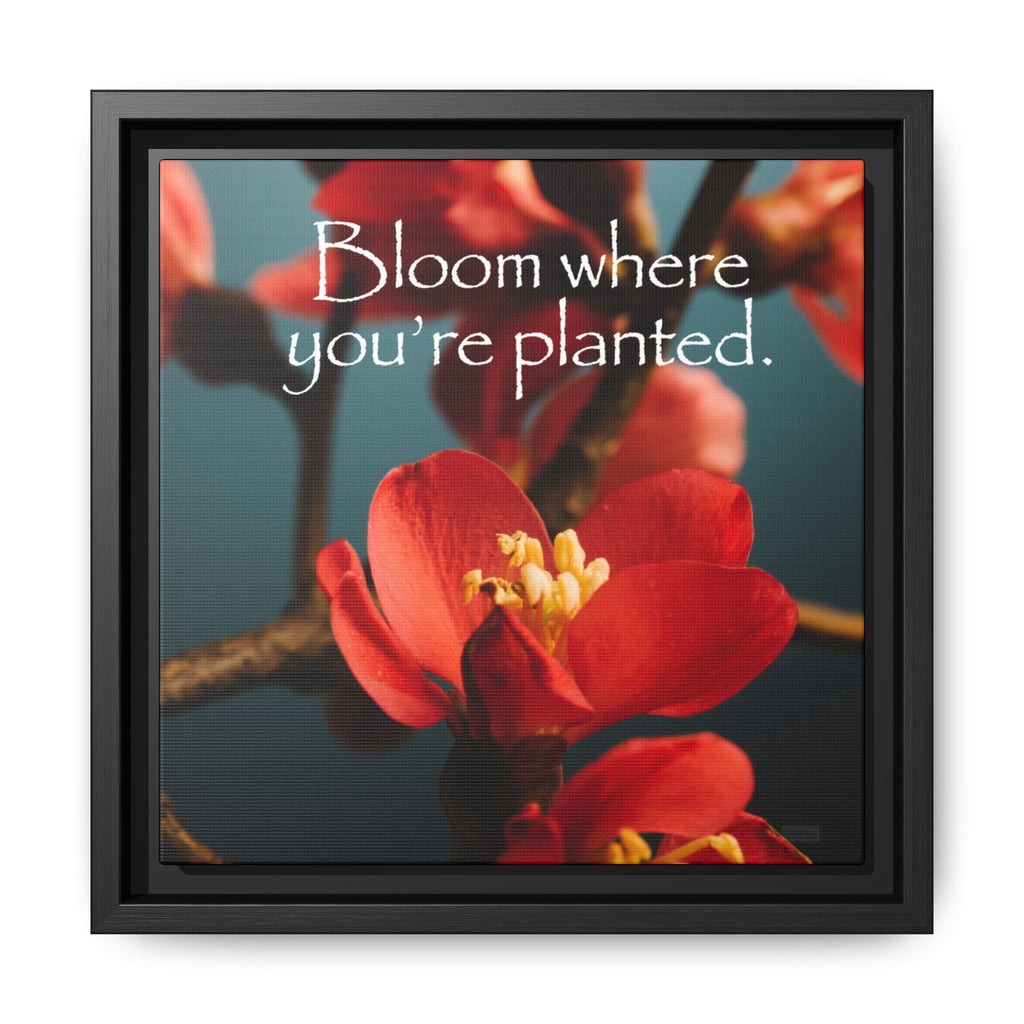 Framed artwork with red flowers and motivational quote 'Bloom where you're planted' by Relatable Designs.