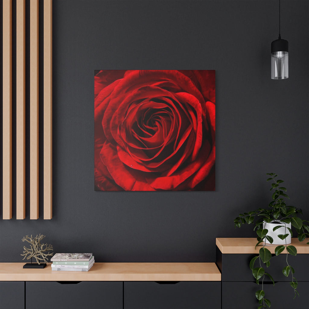 Close-up of a red rose on a dark wall with a wooden shelf and plant in the foreground.