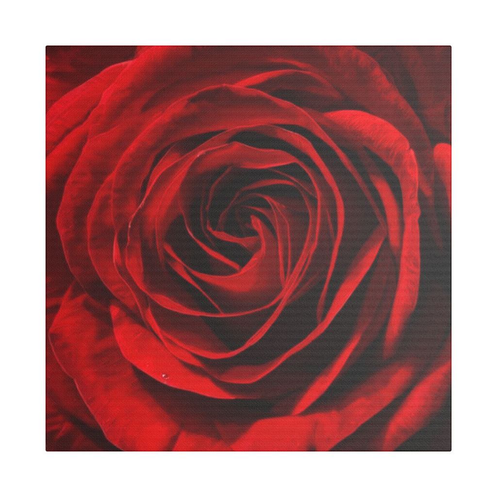 Red rose wall art featuring a close-up floral canvas with deep crimson petals and dramatic detail by Relatable Designs.