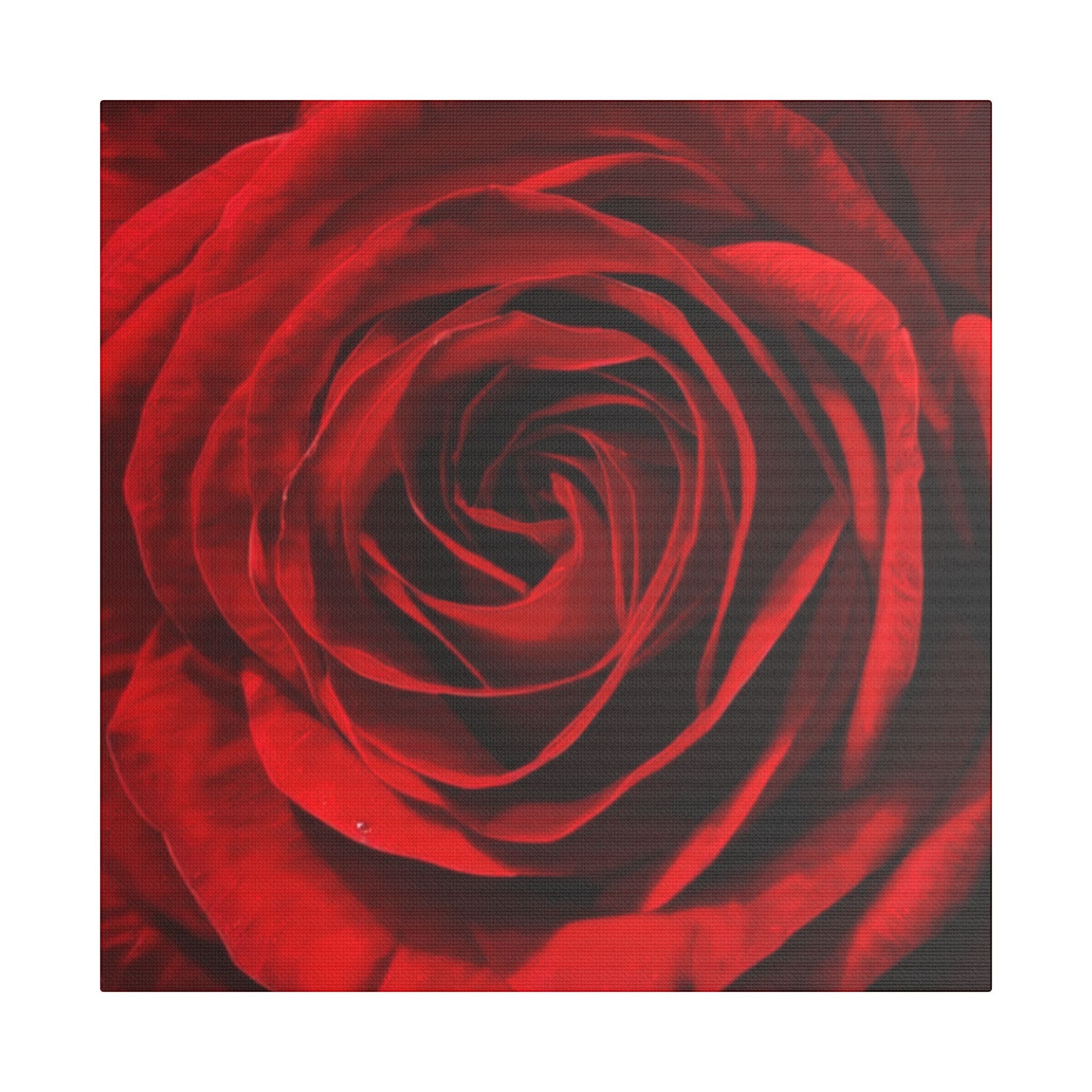 Roses Are Red - Red Rose Floral Wall Art by Relatable Designs