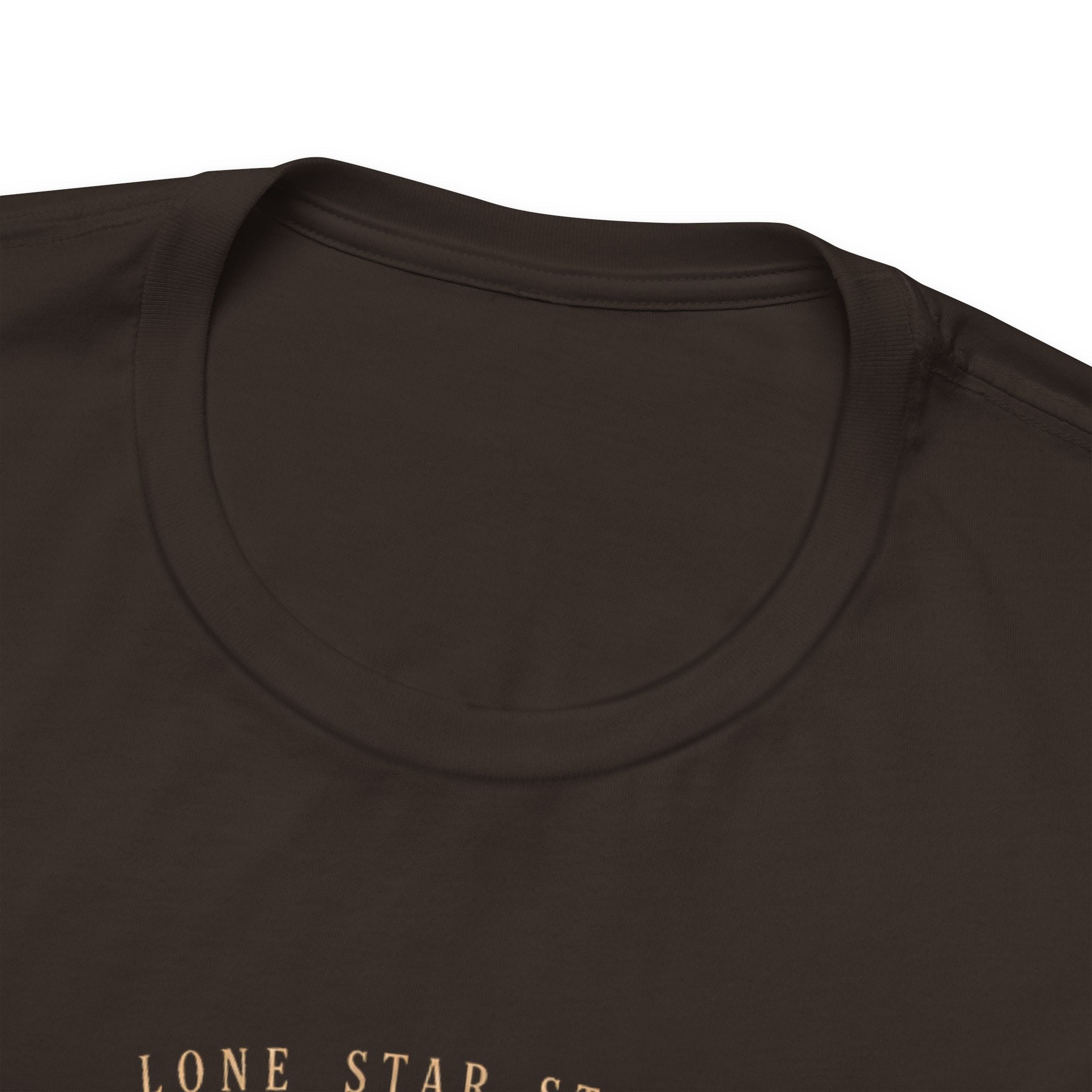 Texas Graphic T-Shirt | Lone Star State Vintage Tee – “Needs No Introduction” Western Style Shirt by Relatable Designs