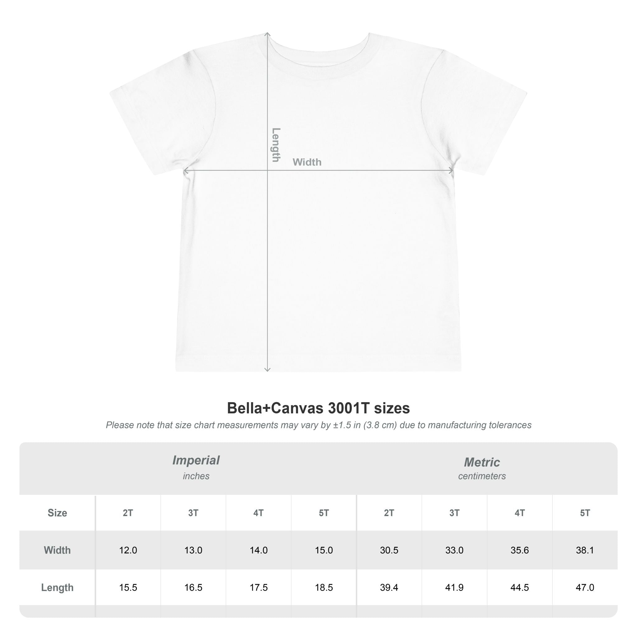 Measurement chart for Bella+Canvas 3001T t-shirt sizes for toddler's Carnival Vibes design on a white background